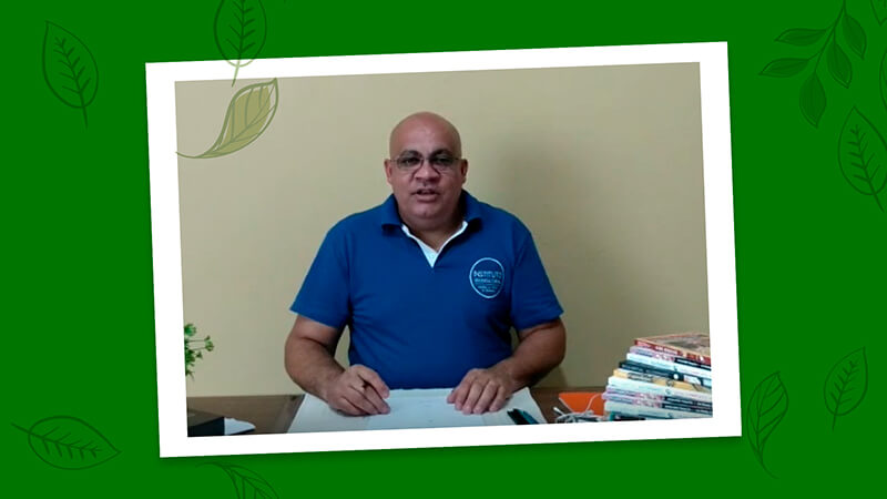 Oficina de Desenho: Aprenda a fazer o esboço e finalização da árvore Araucária