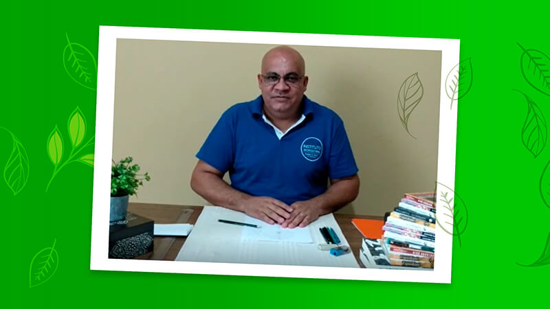 Aprenda as técnicas para desenhar árvores nesta aula de esboço
