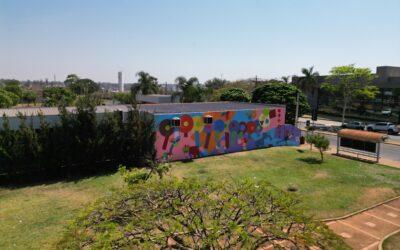 Floresta inventada: conheça o novo projeto lúdico do Instituto Sociocultural